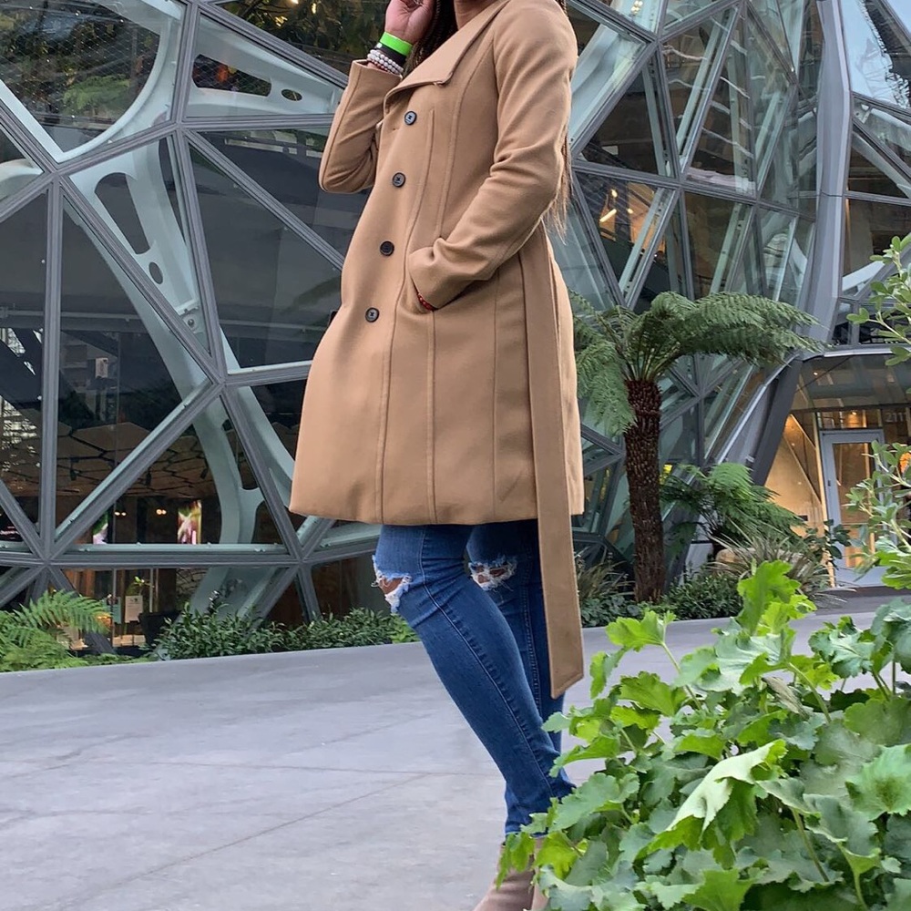 Aritzia Cristobal Coat